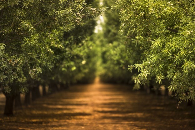 AAS Conservation Concerns